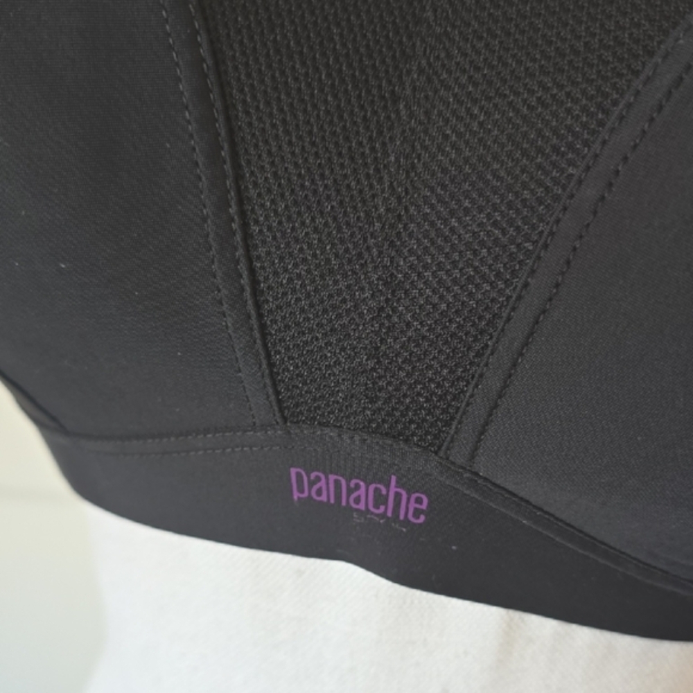 Panache Black Sports Bra with Moisture-Wicking Fabric - Picture 2 of 6